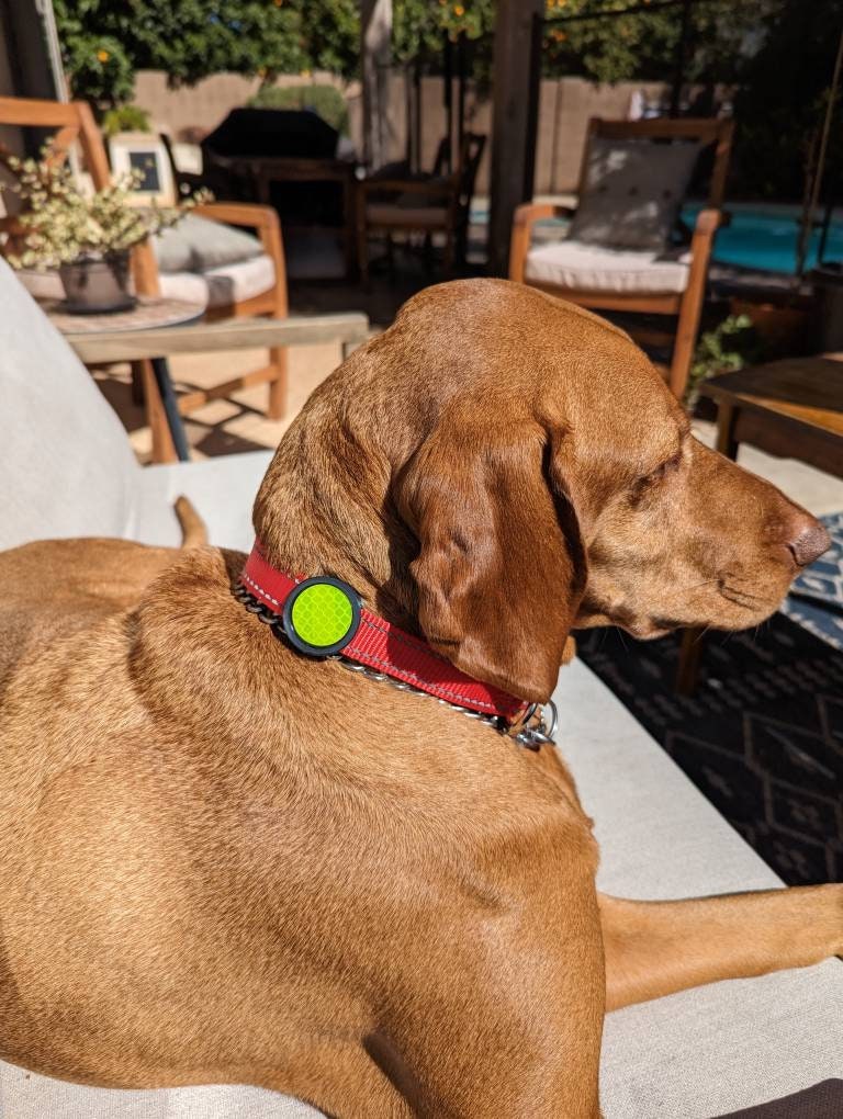 Pack of 3 Reflective Safety Pet Collar Accessories for dogs and cats, reflectors for evening walks