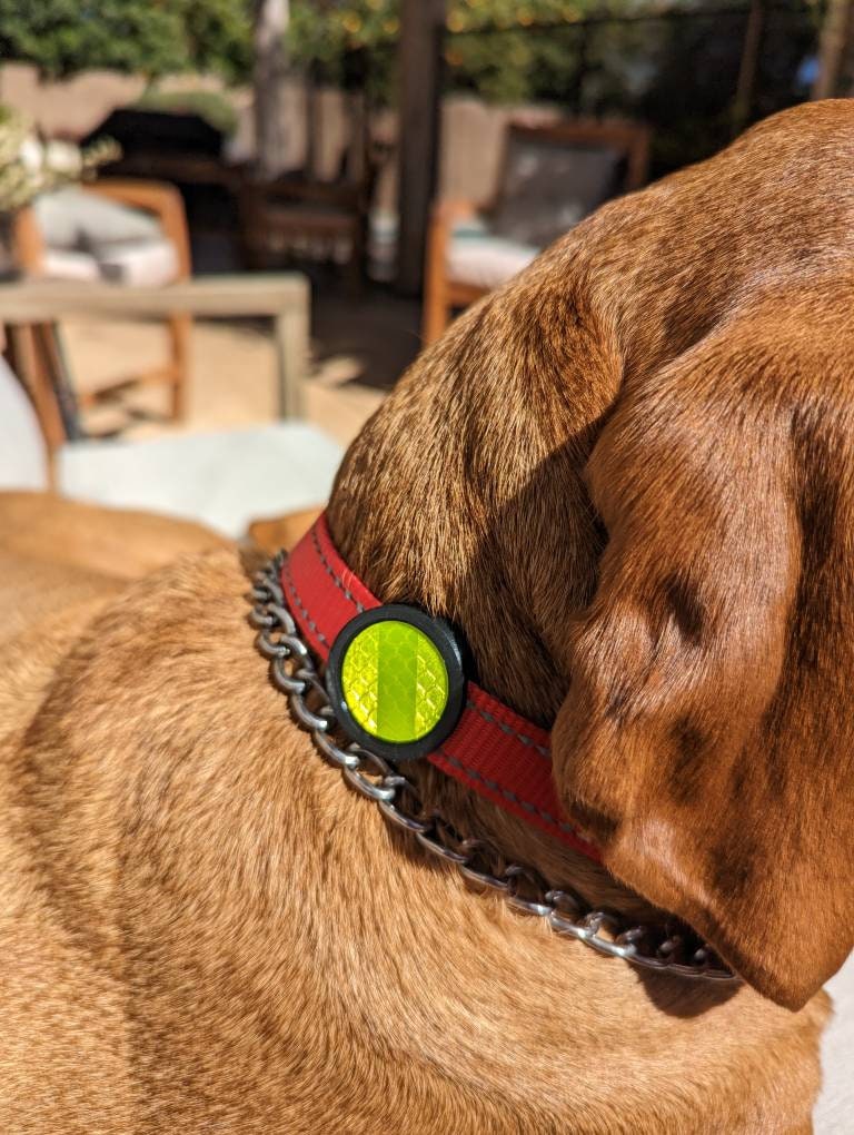 Pack of 3 Reflective Safety Pet Collar Accessories for dogs and cats, reflectors for evening walks