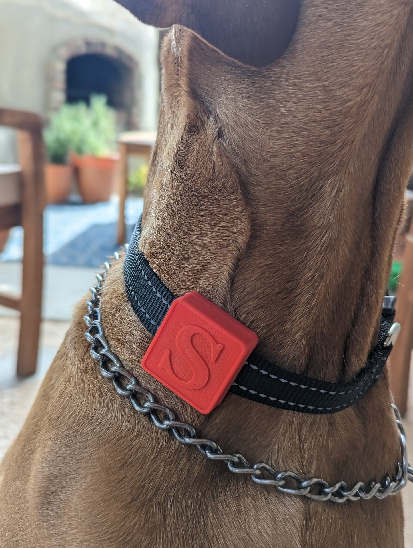 Personalized Apple AirTag Collar Case