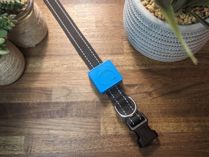 Personalized Square Tile Sticker (2022) Collar Case