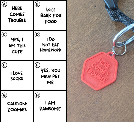 Funny Dog Tag Collar Accessory