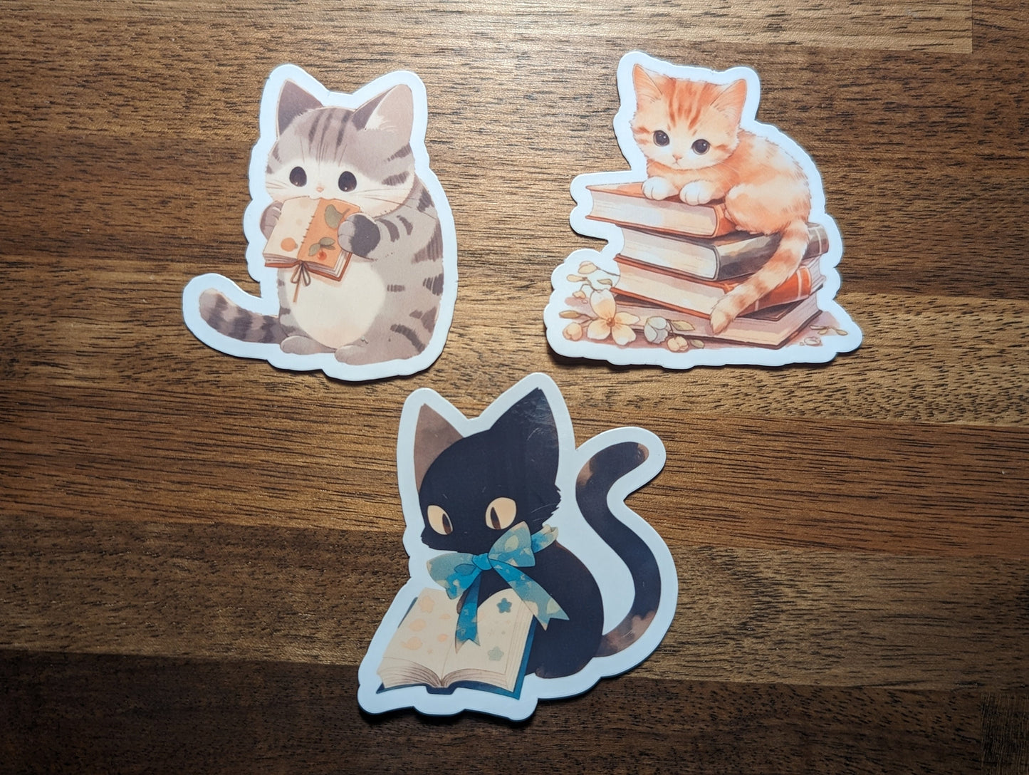 Cute Cats With Books Vinyl Stickers - Pack of 3